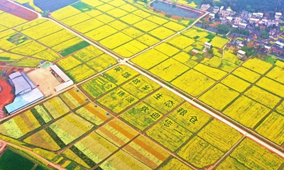 四川省乡村振兴先进榜单出炉 